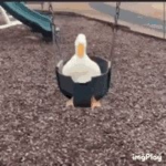 +||Duck Empire||+