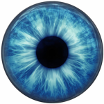 BlueEyeGroup