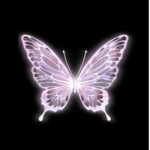 Bed Of Butterflies