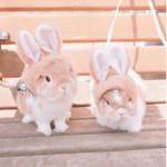 Twinning Together