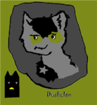 Duskclan (Warriors cats)