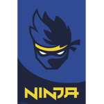 bad ninja group