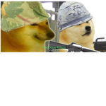 The Doge War Force