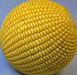 On The Clock Productions