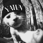уаwn
