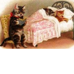 My Funniest Cats Moments