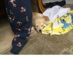 LUNA!