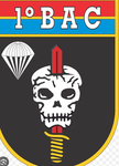 CENTRO DIVISIONAL EB DO PG