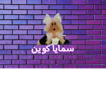 كوينات سمايا