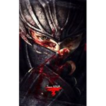 Drachen Studio