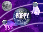 * Foxes Galaxy *