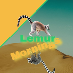 Lemur mornings