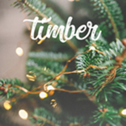 Timber Home Store [Winter]