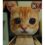 Dogkgj