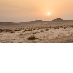 explore Area 51