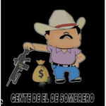 Estilo culichishop