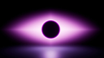 THE NULL IS HERE