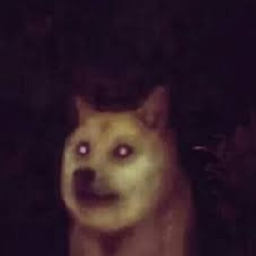 survive doge the killer