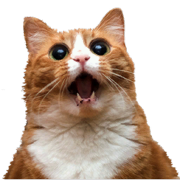 citadel of screen punching