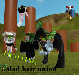 Salad Hair Training
