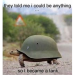 Timmy-For-Tonk