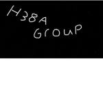 H38A Special party