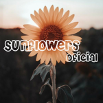 Sunflowers Oficial