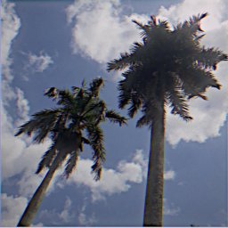 ✧