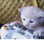 Fans de akira :3
