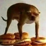C is C