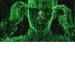 Matrix irl