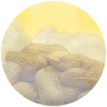 Spirit of 🌰