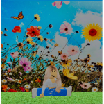 Butterfly Darlings