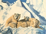 Bear factory