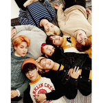 BTS fan club for pros