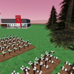Cottom farming RP