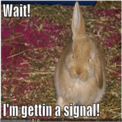 Funny Bunny Roblox decal