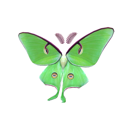 Dreamy Luna Moth Wings