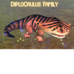 Dip l o cal u s Family*~