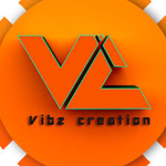 vibz store