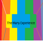 The Many Experience Official