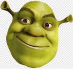 flair is cool flair is best flair is shrek WAIT WH