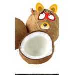Coconut group yummy coconuts