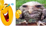 Masters of Despacito‘s