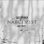 NarcissistW