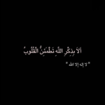 Sosi_Gamse