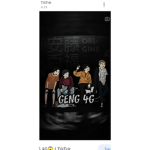 Geng 4g
