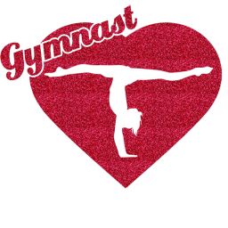 Gymnastics Studio