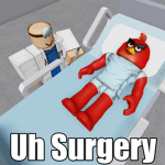 Berd Hospitol