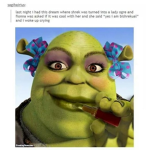 Da baby Shrek shrine